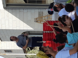 מקישים בכול קיץ 2018(2 תמונות)